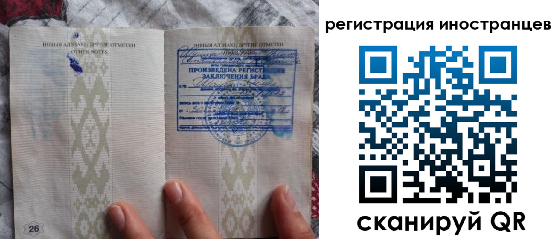 прописка для школы в Волосово